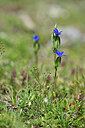 BUITEN BEELD Foto: 446041