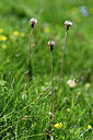 BUITEN BEELD Foto: 446044