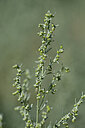 BUITEN BEELD Foto: 446052