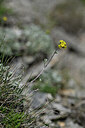 BUITEN BEELD Foto: 446053