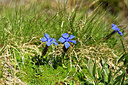 BUITEN BEELD Foto: 446056