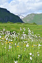 BUITEN BEELD Foto: 446061