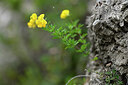 BUITEN BEELD Foto: 446062