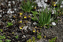 BUITEN BEELD Foto: 446065