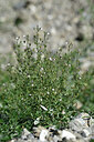 BUITEN BEELD Foto: 446068