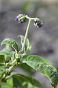 BUITEN BEELD Foto: 446069