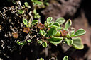 BUITEN BEELD Foto: 446073