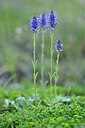 BUITEN BEELD Foto: 446075