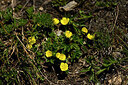 BUITEN BEELD Foto: 446076