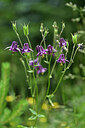 BUITEN BEELD Foto: 446077