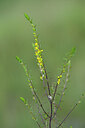 BUITEN BEELD Foto: 446079