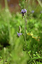 BUITEN BEELD Foto: 446080