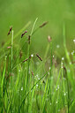 BUITEN BEELD Foto: 446085