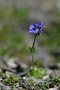 BUITEN BEELD Foto: 446090