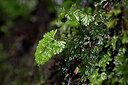 BUITEN BEELD Foto: 446097