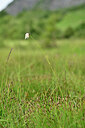 BUITEN BEELD Foto: 446098