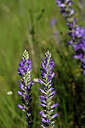 BUITEN BEELD Foto: 446101