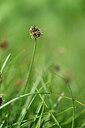 BUITEN BEELD Foto: 446104