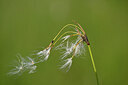 BUITEN BEELD Foto: 446105