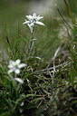 BUITEN BEELD Foto: 446107