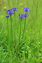 BUITEN BEELD Foto: 446111
