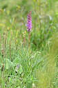 BUITEN BEELD Foto: 446113