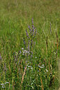 BUITEN BEELD Foto: 446115