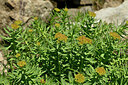 BUITEN BEELD Foto: 446118