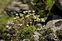 BUITEN BEELD Foto: 446123