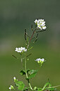 BUITEN BEELD Foto: 446125