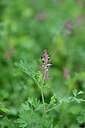 BUITEN BEELD Foto: 446128