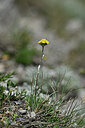 BUITEN BEELD Foto: 446129