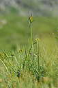 BUITEN BEELD Foto: 446131