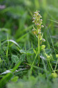 BUITEN BEELD Foto: 446136