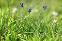 BUITEN BEELD Foto: 446142