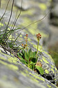 BUITEN BEELD Foto: 446143
