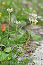 BUITEN BEELD Foto: 446144