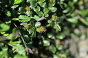 BUITEN BEELD Foto: 446145