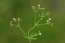 BUITEN BEELD Foto: 446146