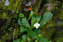 BUITEN BEELD Foto: 446149