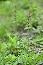 BUITEN BEELD Foto: 446155