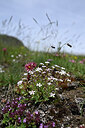 BUITEN BEELD Foto: 446158