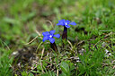BUITEN BEELD Foto: 446162