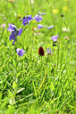 BUITEN BEELD Foto: 446168