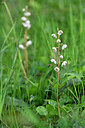 BUITEN BEELD Foto: 446169