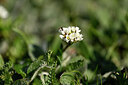 BUITEN BEELD Foto: 446171