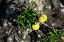 BUITEN BEELD Foto: 446173