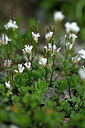 BUITEN BEELD Foto: 446174