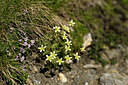 BUITEN BEELD Foto: 446176