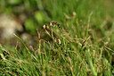 BUITEN BEELD Foto: 446181